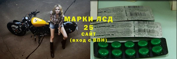 ECSTASY Алзамай