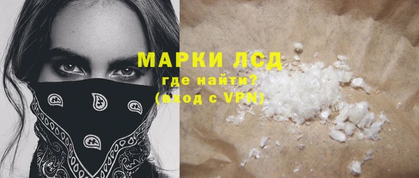 прущие грибы Наволоки