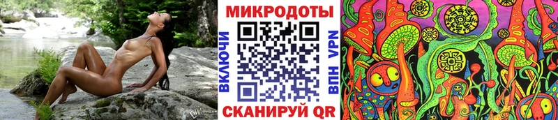 Галлюциногенные грибы Cubensis  Бердск 